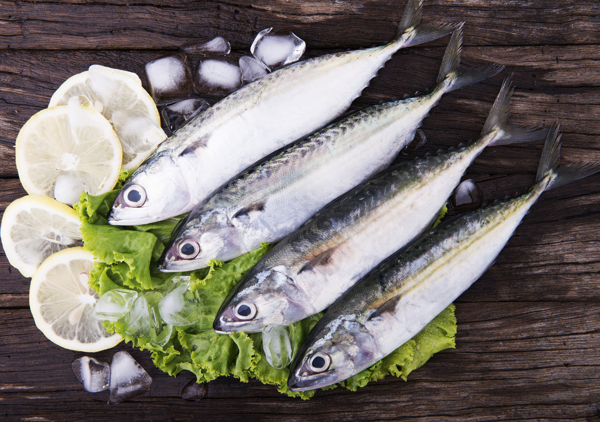 Three cheap (and sustainable) fish you need to try – Recette Magazine