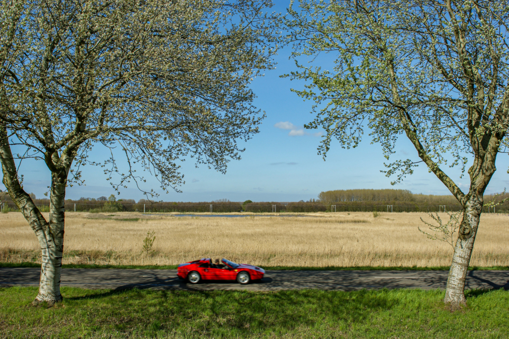 Meat and Maseratis: Cooking slow food with fast cars