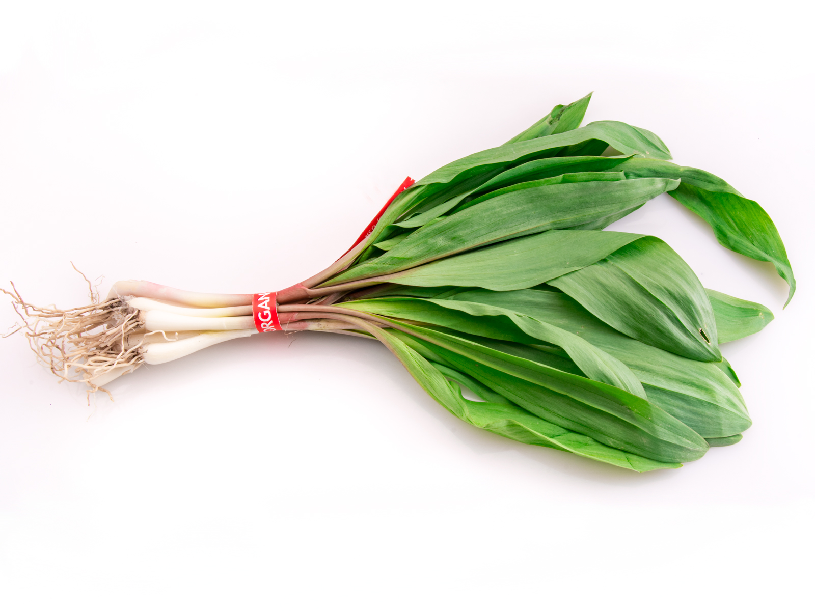 Edible Ramps A Delicious Sign of Spring Recette Magazine