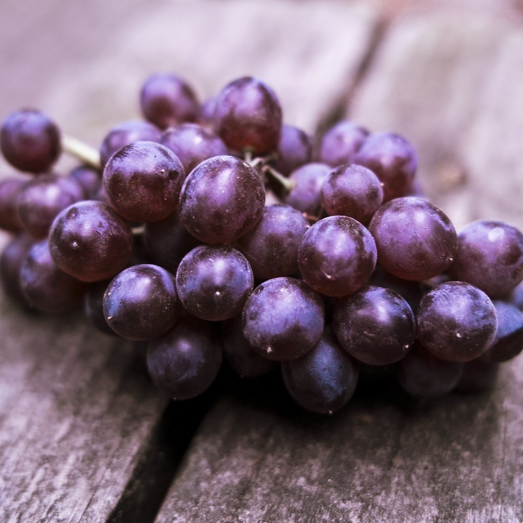 Currants The Champagne Grapes Recette Magazine