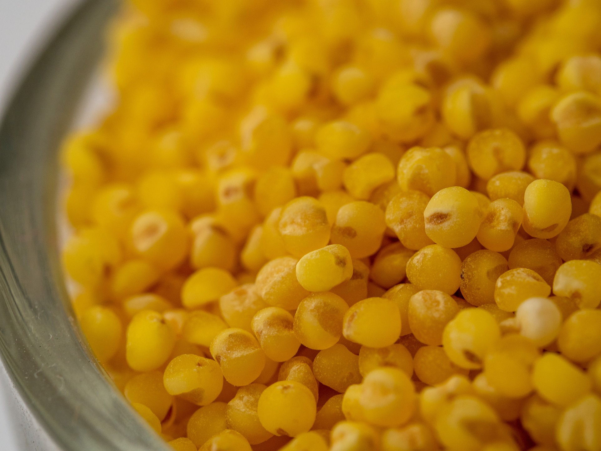 millet-5098547_1920.jpg