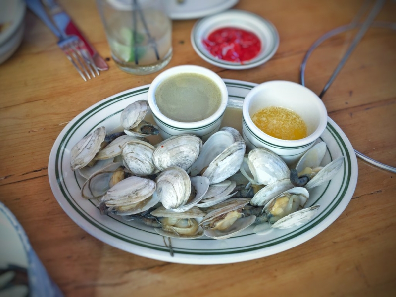 All About Softshell Clams Recette Magazine