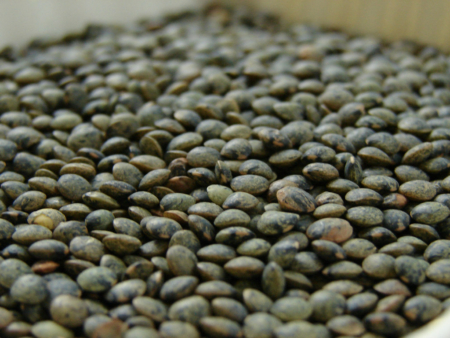 French lentils, green lentils