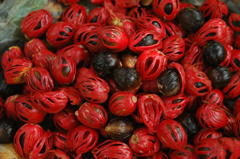 Mace Nutmeg’s Sister Spice Recette Magazine