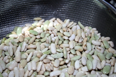 Flageolet Beans