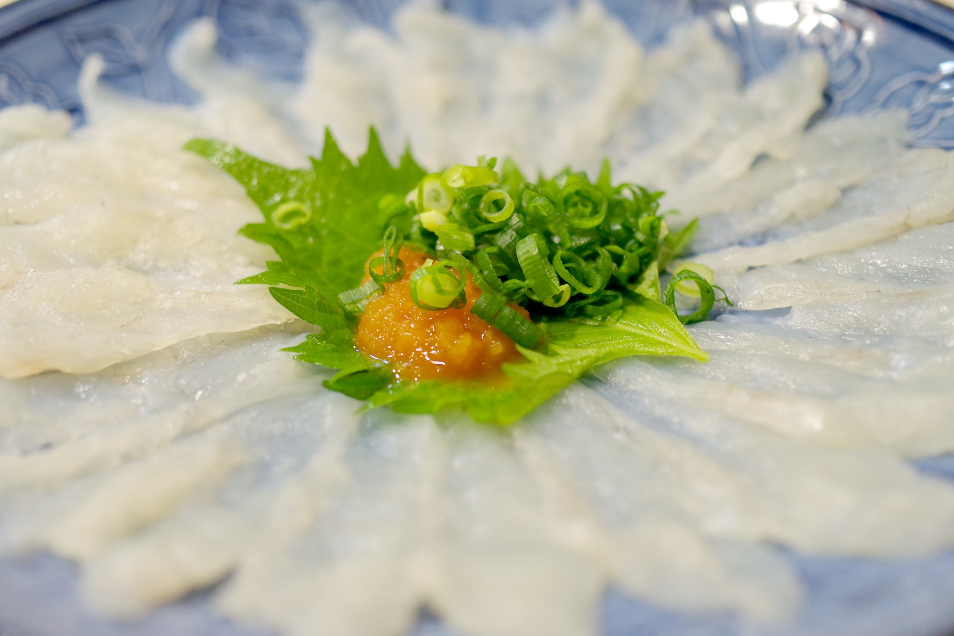 Fugu Cooking with Poisonous Blowfish Recette Magazine